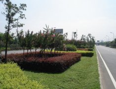 �̻�����1