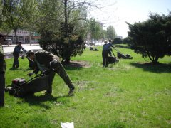 �̻�����2