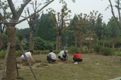 �̻�����4